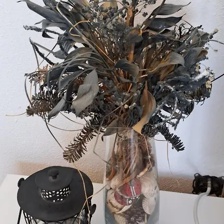 Oaza Mira Apartment *