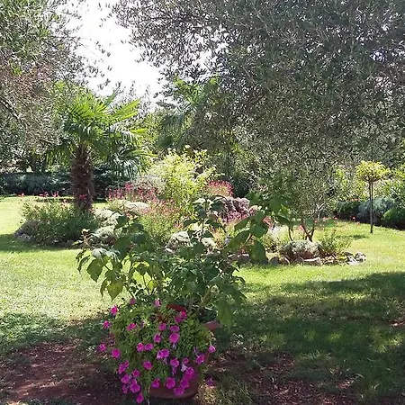 Appartement Oaza Mira Tribalj