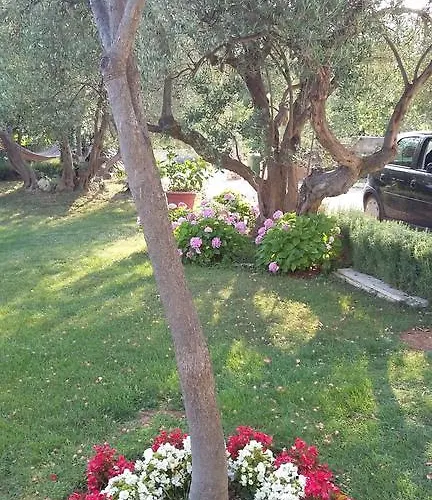 Apartamento Oaza Mira Tribalj