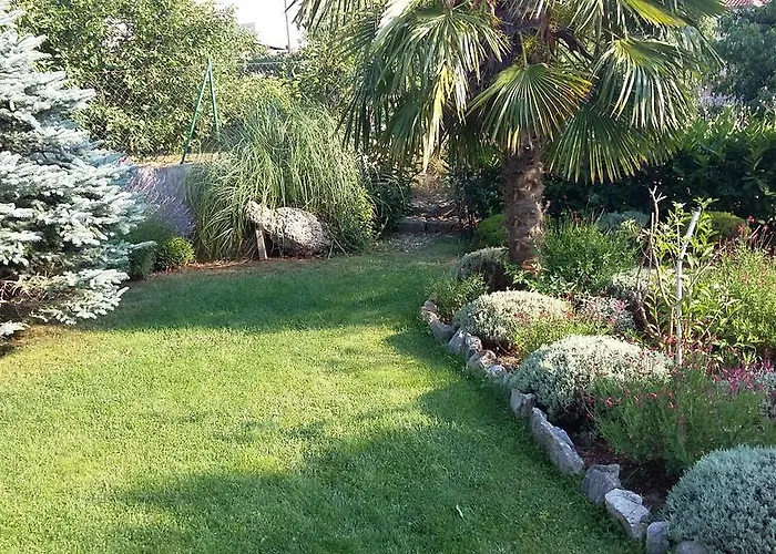 Apartamento Oaza Mira