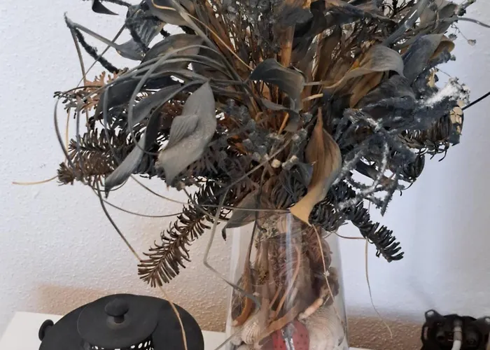 Oaza Mira דירה *