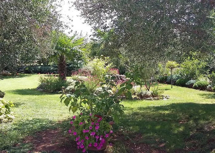 דירה Oaza Mira Tribalj