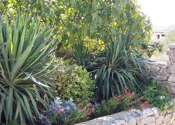 דירה Oaza Mira Tribalj