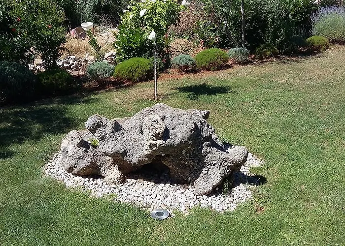 Oaza Mira 아파트 *